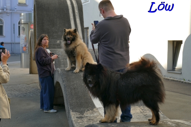 19.4.2025 - Skulpturenkletterer